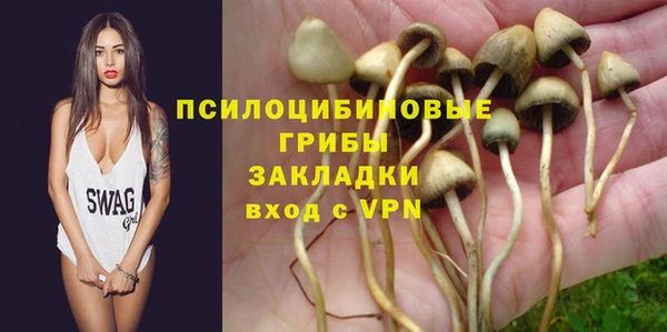 PSILOCYBIN Володарск